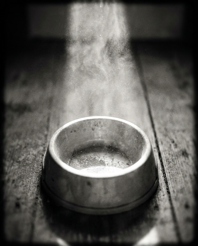 An empty pet food bowl on a bare floor